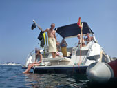 Boat Trips